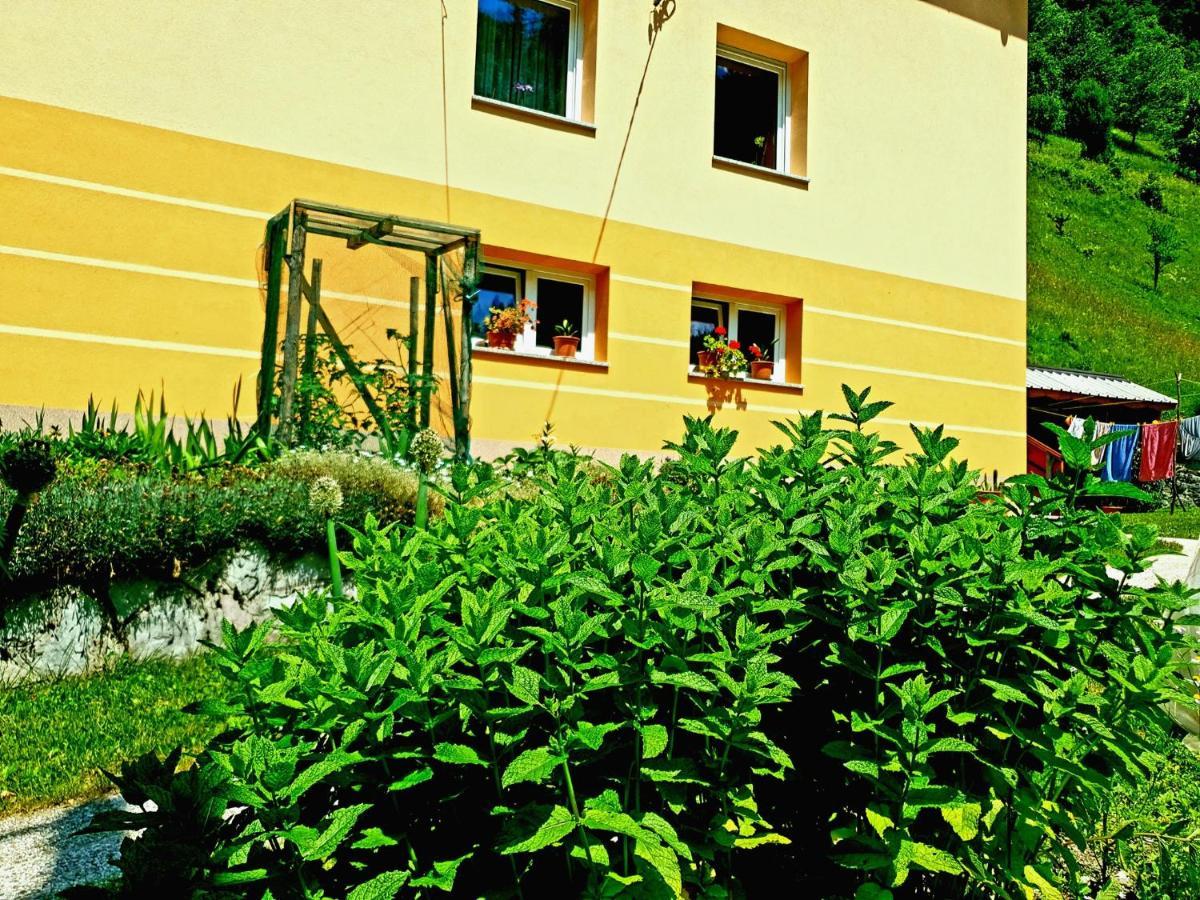 Apartment And Garden House Among The Mountains Podbrdo Bagian luar foto