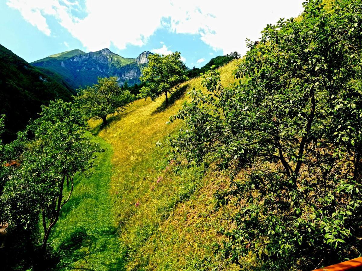 Apartment And Garden House Among The Mountains Podbrdo Bagian luar foto